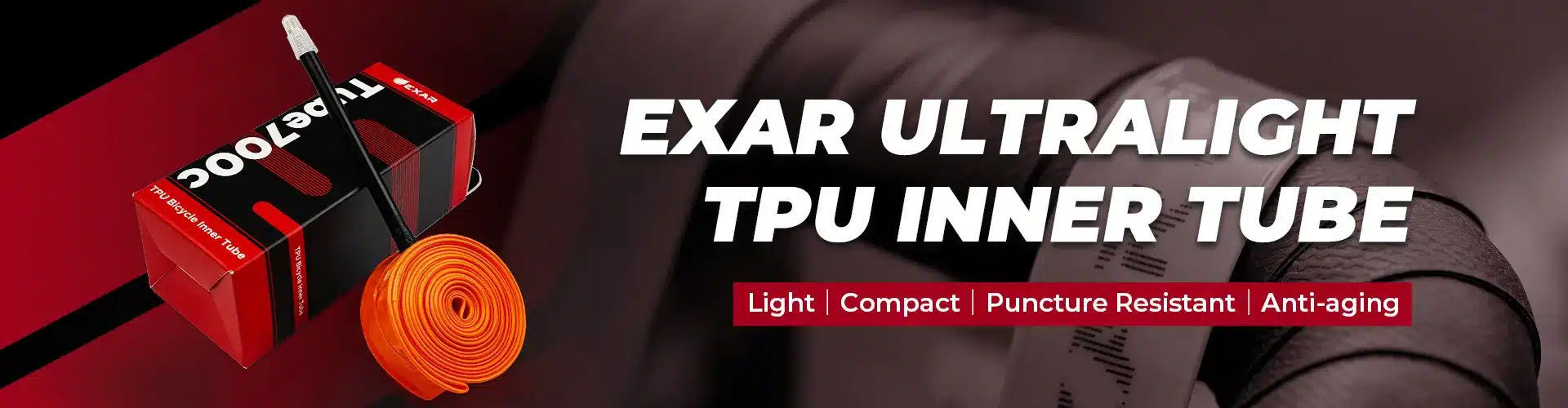 EXAR 05